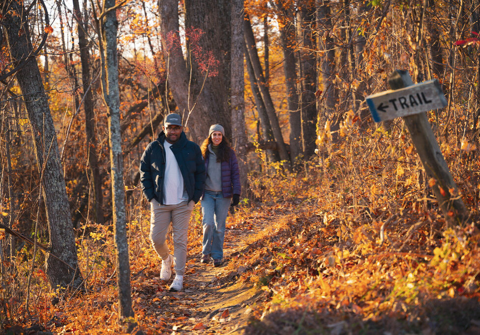 2023-11-16_Ragged Mtn_Heyward Community Forest-170-XL